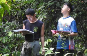 HOW TO OBSERVE ORANGUTANS