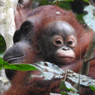 MELISA IS BACK—WITH A BABY!