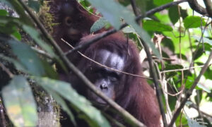 LEARNING TO LIVE WILD AND FREE