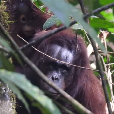 LEARNING TO LIVE WILD AND FREE