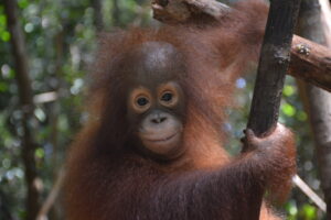 SELFIE IS GROWING BOLD